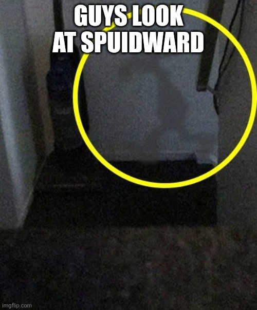 Squidward is inside your home | GUYS LOOK AT SPUIDWARD | image tagged in squidward is inside your home | made w/ Imgflip meme maker