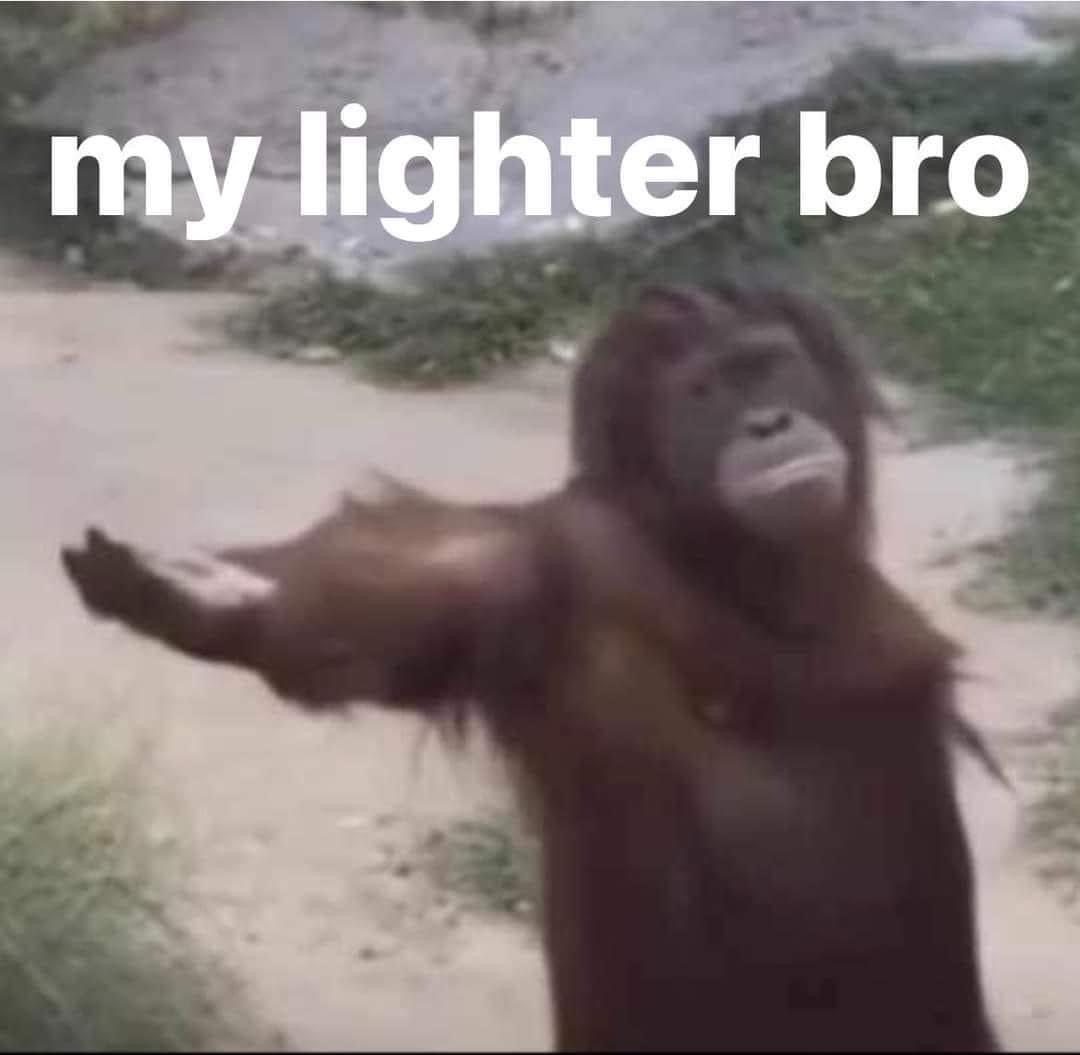 my lighter bro monkey Blank Meme Template