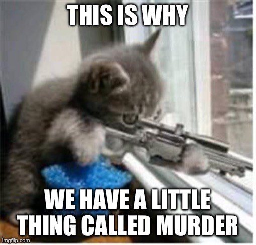 cats with guns | THIS IS WHY WE HAVE A LITTLE THING CALLED MURDER | image tagged in cats with guns | made w/ Imgflip meme maker