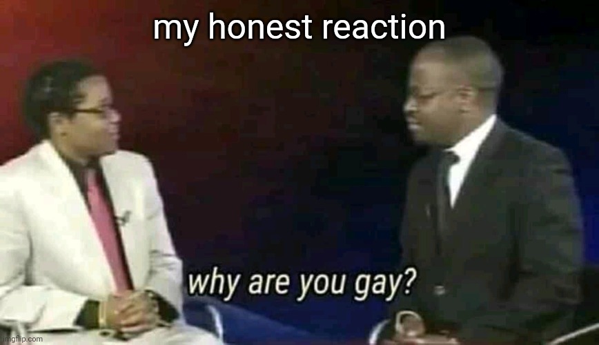 Why are you gay? | my honest reaction | image tagged in why are you gay | made w/ Imgflip meme maker