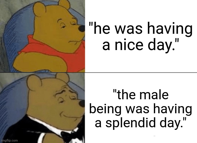 Tuxedo Winnie The Pooh | "he was having a nice day."; "the male being was having a splendid day." | image tagged in memes,tuxedo winnie the pooh | made w/ Imgflip meme maker