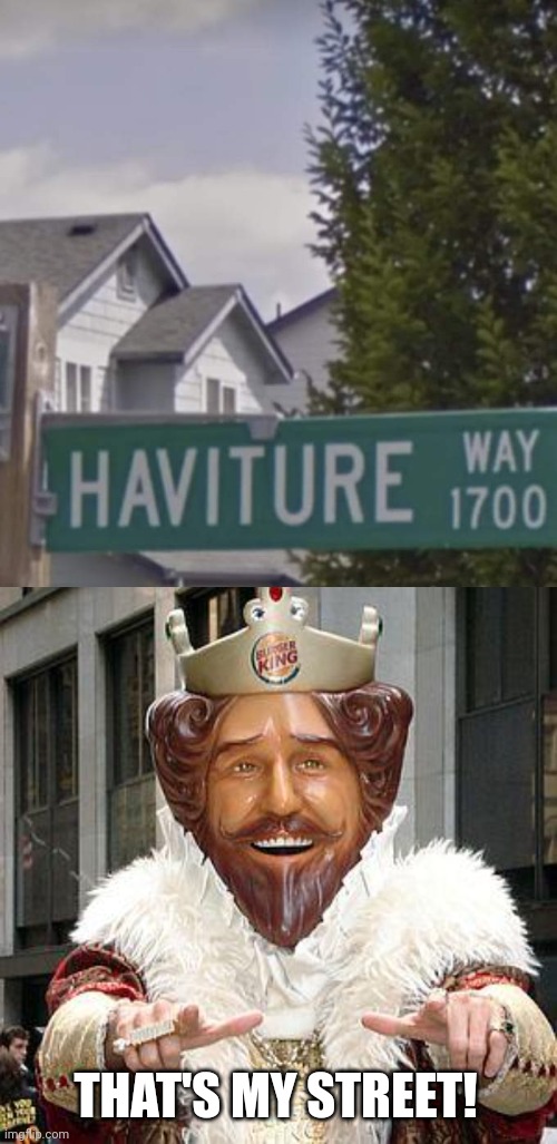 You rule! | THAT'S MY STREET! | image tagged in burger king,haviture way,have it your way,whopper whopper whopper whopper,junior double triple whopper,memes | made w/ Imgflip meme maker