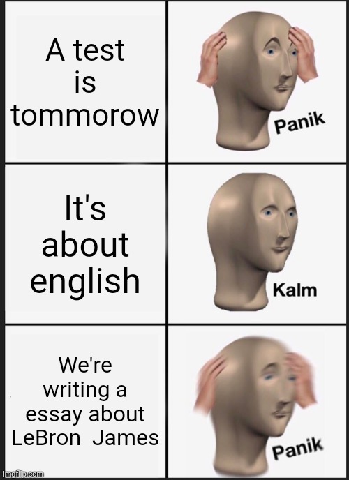 True | A test is tommorow; It's about english; We're writing a essay about LeBron  James | image tagged in memes,panik kalm panik | made w/ Imgflip meme maker