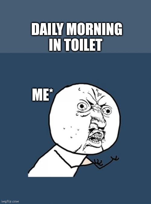 Y U No | DAILY MORNING IN TOILET; ME* | image tagged in memes,y u no | made w/ Imgflip meme maker