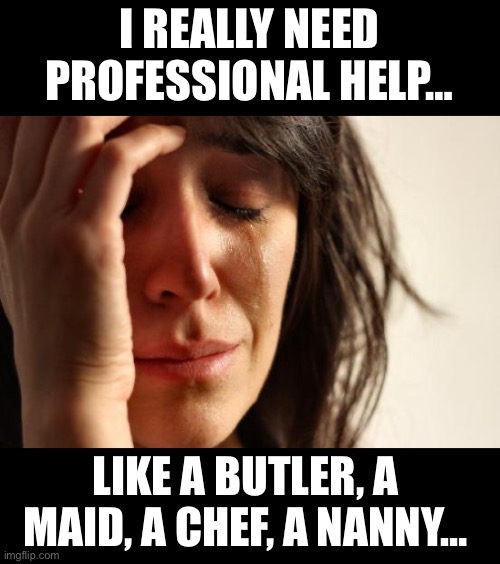Help | I REALLY NEED PROFESSIONAL HELP…; LIKE A BUTLER, A MAID, A CHEF, A NANNY… | image tagged in memes,first world problems | made w/ Imgflip meme maker