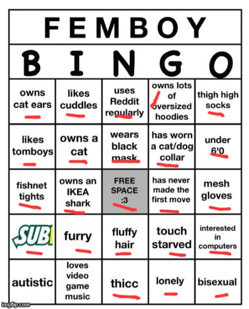 Femboy Bingo | image tagged in femboy bingo | made w/ Imgflip meme maker