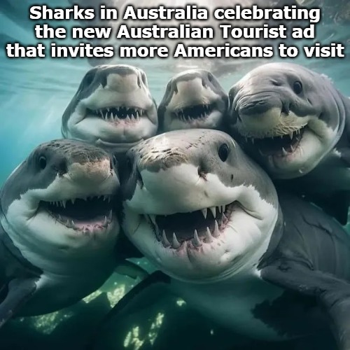 supersized please | Sharks in Australia celebrating the new Australian Tourist ad that invites more Americans to visit | image tagged in yum yum | made w/ Imgflip meme maker