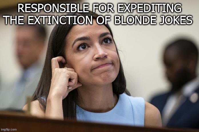 AOC | RESPONSIBLE FOR EXPEDITING THE EXTINCTION OF BLONDE JOKES | image tagged in aoc scratches her empty head | made w/ Imgflip meme maker