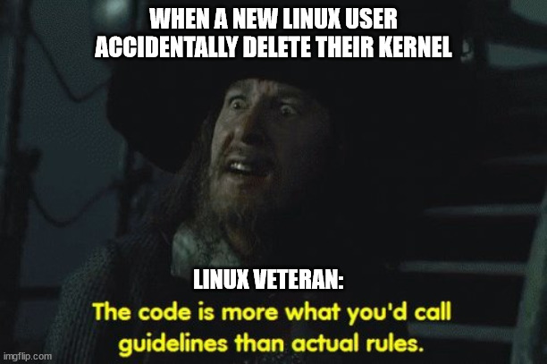 Linux be like | WHEN A NEW LINUX USER ACCIDENTALLY DELETE THEIR KERNEL; LINUX VETERAN: | image tagged in linux,programming,bug | made w/ Imgflip meme maker