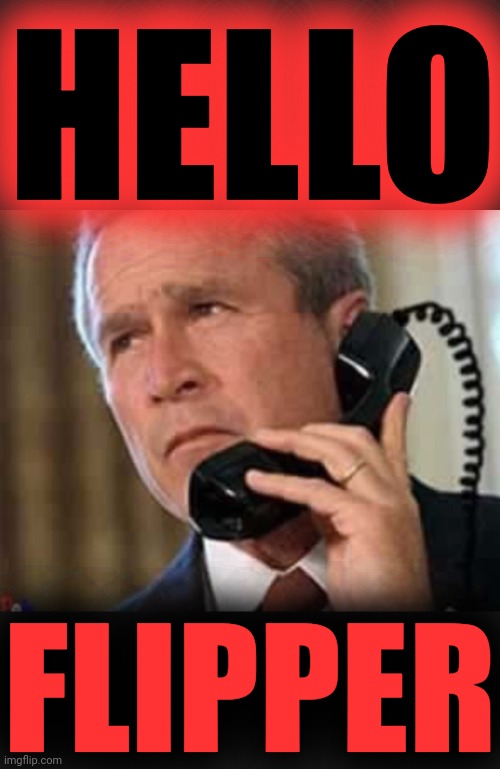 Hello George bush  | HELLO FLIPPER | image tagged in hello george bush | made w/ Imgflip meme maker