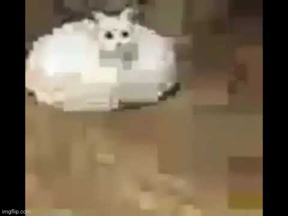 Low Quality Internet Cat | image tagged in low quality internet cat | made w/ Imgflip meme maker