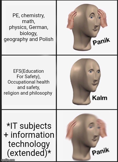 This is my school year in IT college :,) | PE, chemistry, math, physics, German, biology, geography and Polish; EFS(Education For Safety), Occupational health and safety, religion and philosophy; *IT subjects + information technology (extended)* | image tagged in memes,panik kalm panik | made w/ Imgflip meme maker