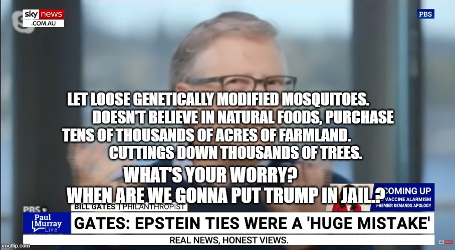 bill gates epstein | LET LOOSE GENETICALLY MODIFIED MOSQUITOES.          
       DOESN'T BELIEVE IN NATURAL FOODS, PURCHASE TENS OF THOUSANDS OF ACRES OF FARMLAND.                  
            CUTTINGS DOWN THOUSANDS OF TREES. WHAT'S YOUR WORRY?                 WHEN ARE WE GONNA PUT TRUMP IN JAIL.? | image tagged in bill gates epstein | made w/ Imgflip meme maker