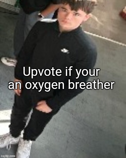 Emosnake staring | Upvote if your an oxygen breather | image tagged in emosnake staring | made w/ Imgflip meme maker