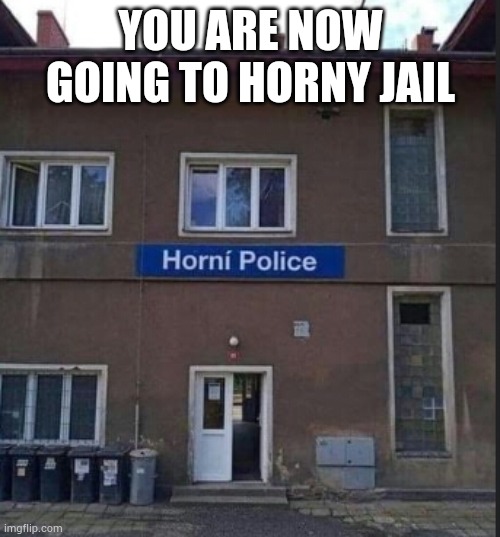 This is a real place | YOU ARE NOW GOING TO HORNY JAIL | made w/ Imgflip meme maker