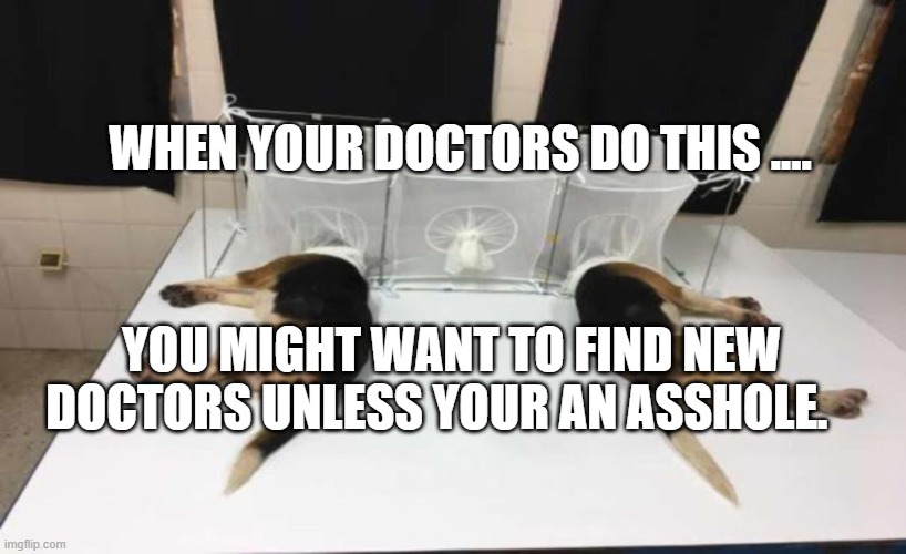 Fauci Beagles | WHEN YOUR DOCTORS DO THIS .... YOU MIGHT WANT TO FIND NEW DOCTORS UNLESS YOUR AN ASSHOLE. | image tagged in fauci beagles | made w/ Imgflip meme maker