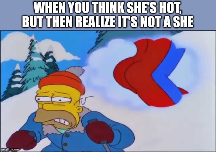 stupid sexy flanders full | WHEN YOU THINK SHE'S HOT, BUT THEN REALIZE IT'S NOT A SHE | image tagged in stupid sexy flanders full | made w/ Imgflip meme maker