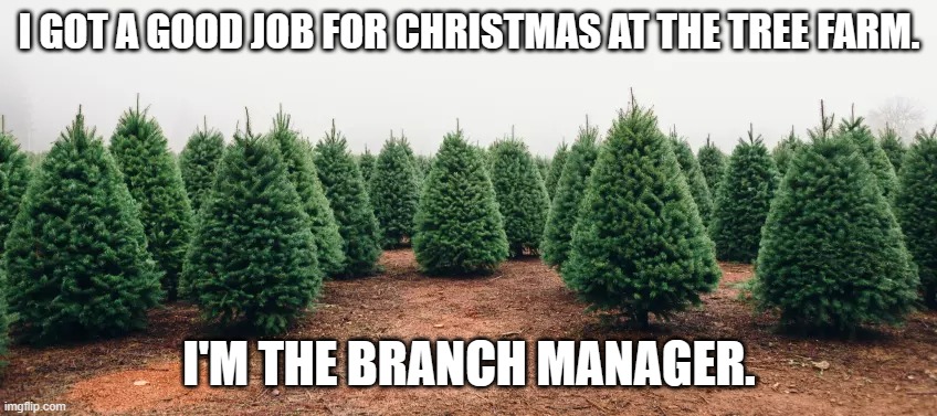 meme by Brad Christmas tree branch manager | I GOT A GOOD JOB FOR CHRISTMAS AT THE TREE FARM. I'M THE BRANCH MANAGER. | image tagged in christmas meme | made w/ Imgflip meme maker