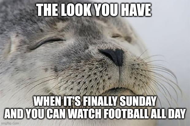 Watch Football all day | THE LOOK YOU HAVE; WHEN IT'S FINALLY SUNDAY AND YOU CAN WATCH FOOTBALL ALL DAY | image tagged in memes,satisfied seal,funny memes | made w/ Imgflip meme maker