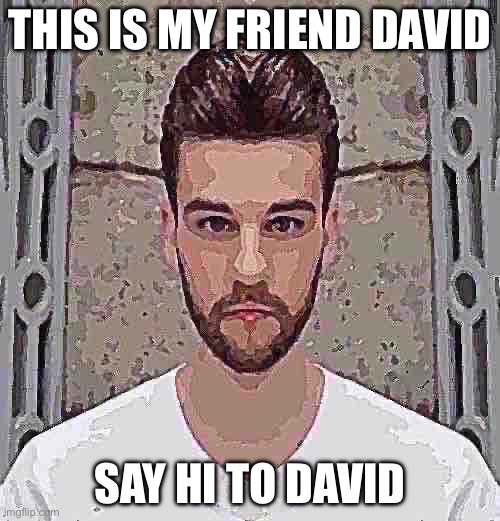 David | THIS IS MY FRIEND DAVID; SAY HI TO DAVID | image tagged in david | made w/ Imgflip meme maker