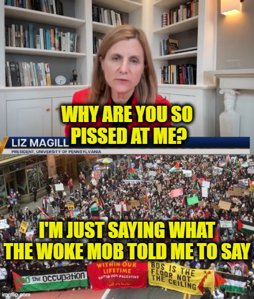 Leadership? | WHY ARE YOU SO
 PISSED AT ME? I'M JUST SAYING WHAT
THE WOKE MOB TOLD ME TO SAY | image tagged in woke,leftists | made w/ Imgflip meme maker