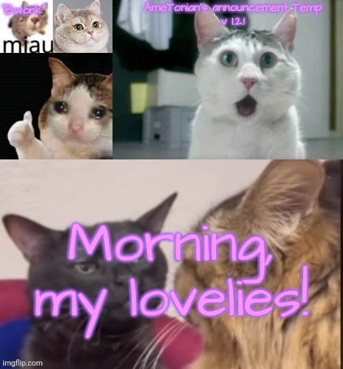 AmeTonian's announcement Temp v 1.2.1 | Morning, my lovelies! | image tagged in ametonian's announcement temp v 1 2 1 | made w/ Imgflip meme maker