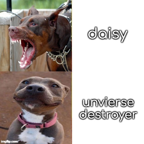 pitbull names | daisy; unvierse destroyer | made w/ Imgflip meme maker