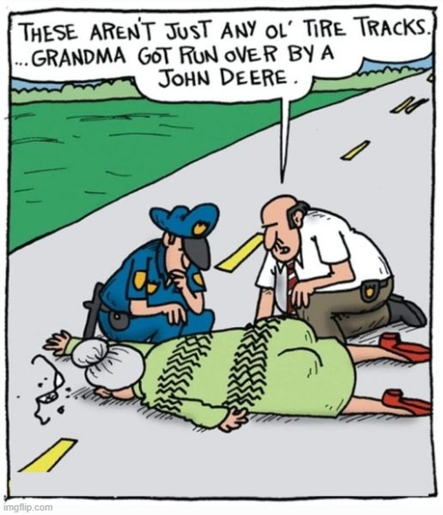 Grandma Got Run Over | image tagged in comics | made w/ Imgflip meme maker