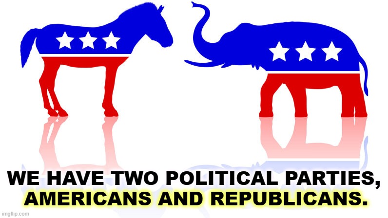 WE HAVE TWO POLITICAL PARTIES, AMERICANS AND REPUBLICANS. | image tagged in democrats,patriots,republicans,trump,cult | made w/ Imgflip meme maker