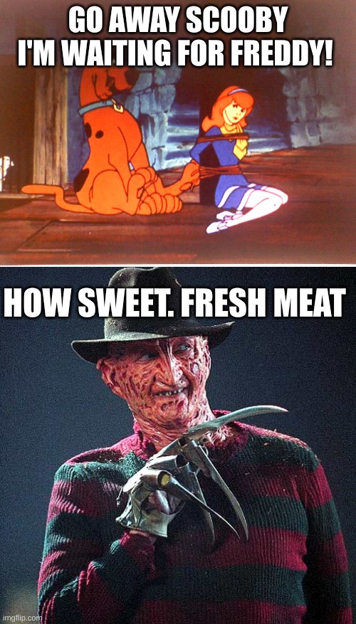 GO AWAY SCOOBY I'M WAITING FOR FREDDY! HOW SWEET. FRESH MEAT | image tagged in daphne blake all tied up 3,freddy krueger | made w/ Imgflip meme maker
