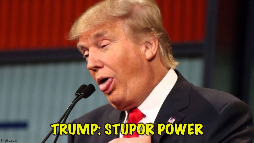 Stupid trump | TRUMP: STUPOR POWER | image tagged in stupid trump | made w/ Imgflip meme maker