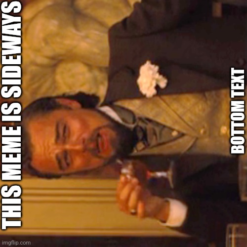 Laughing Leo Meme | THIS MEME IS SIDEWAYS; BOTTOM TEXT | image tagged in memes,laughing leo | made w/ Imgflip meme maker
