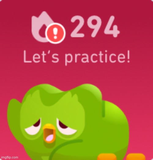 Duolingo needs help - Imgflip