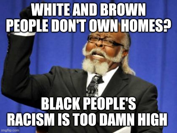 black supremacy and racism, white and brown people don't own homes | WHITE AND BROWN PEOPLE DON'T OWN HOMES? BLACK PEOPLE'S RACISM IS TOO DAMN HIGH | image tagged in memes,too damn high,black privilege meme | made w/ Imgflip meme maker