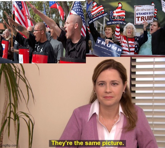 image tagged in nazis neo-nazi flags parade capitol washington dc,trump supporter,memes,they're the same picture | made w/ Imgflip meme maker