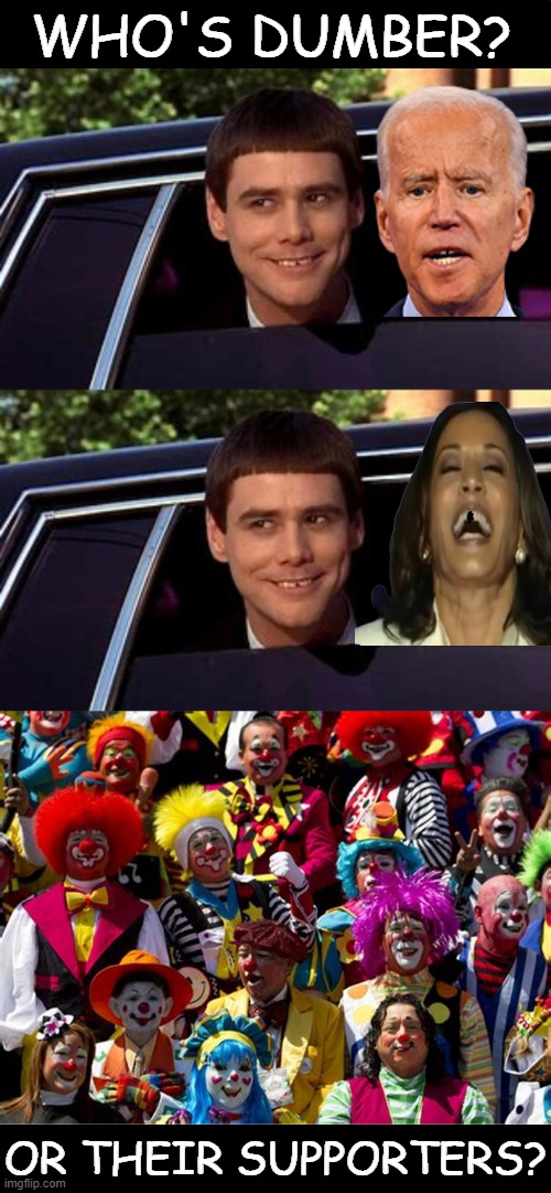 No Joke | WHO'S DUMBER? OR THEIR SUPPORTERS? | image tagged in political humor,joe biden,kamala harris,supporters,dumb and dumber,hard choice to make | made w/ Imgflip meme maker