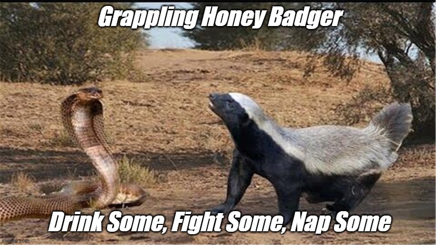 Grappling Honey Badger | Grappling Honey Badger; Drink Some, Fight Some, Nap Some | image tagged in funny,drinking,fighting,nap,crypto,shiba inu | made w/ Imgflip meme maker