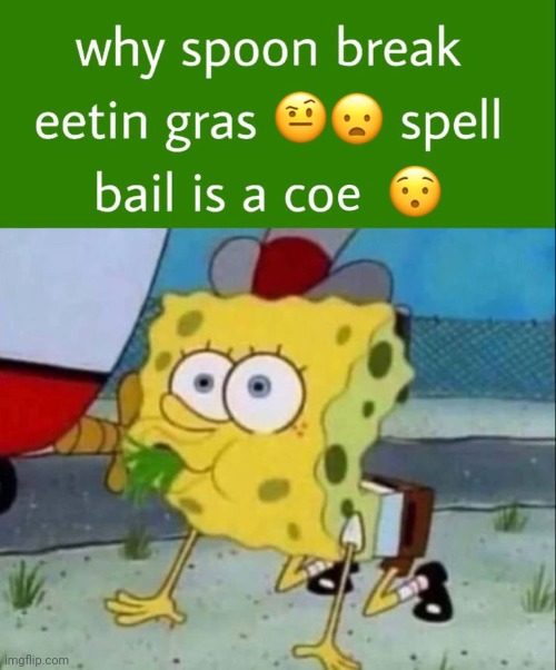 why spoon break eetin gras spell bail is a coe | image tagged in why spoon break eetin gras spell bail is a coe | made w/ Imgflip meme maker