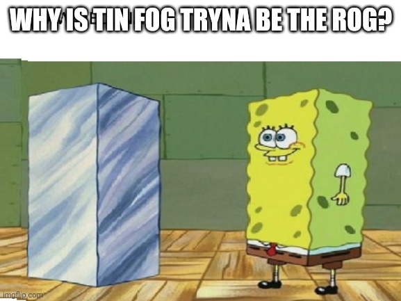 RECTANGLEBOOB | WHY IS TIN FOG TRYNA BE THE ROG? | image tagged in rectangleboob | made w/ Imgflip meme maker