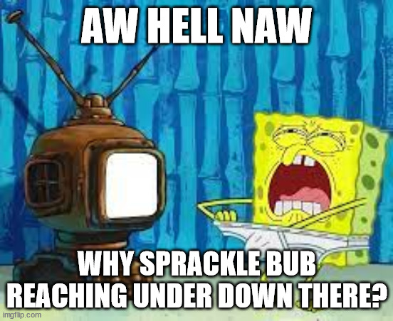 AW HELL NAW; WHY SPRACKLE BUB REACHING UNDER DOWN THERE? | made w/ Imgflip meme maker