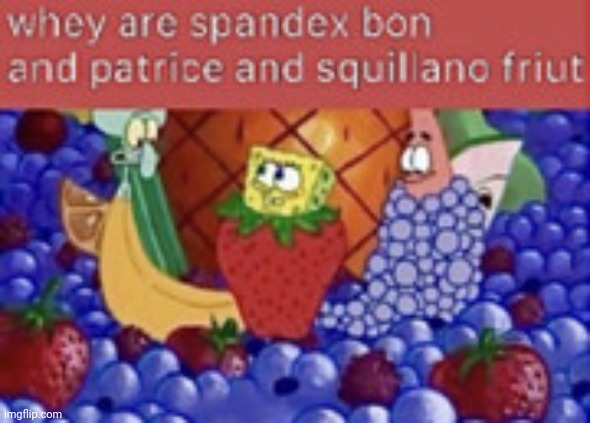 spunch fruit | image tagged in spunch fruit | made w/ Imgflip meme maker