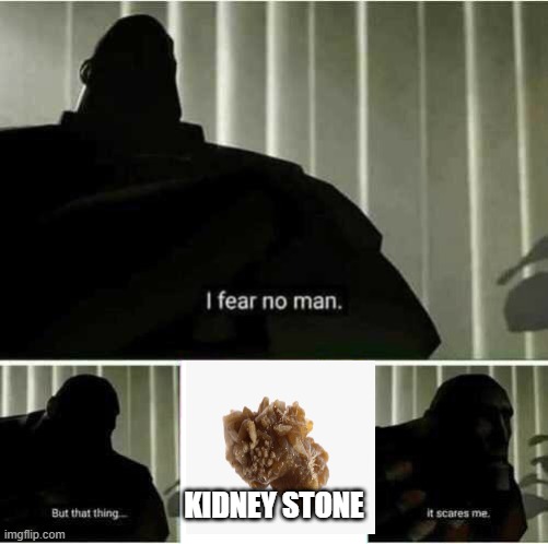 I fear no man | KIDNEY STONE | image tagged in i fear no man | made w/ Imgflip meme maker