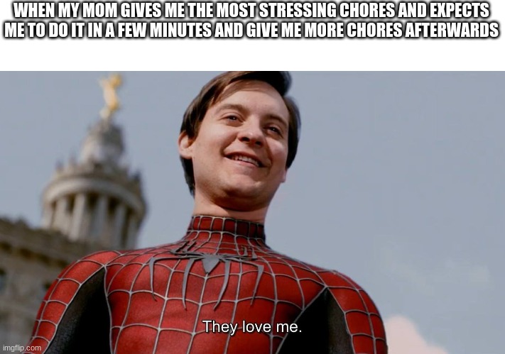 Is this relatable to you? | WHEN MY MOM GIVES ME THE MOST STRESSING CHORES AND EXPECTS ME TO DO IT IN A FEW MINUTES AND GIVE ME MORE CHORES AFTERWARDS | image tagged in they love me,relatable | made w/ Imgflip meme maker