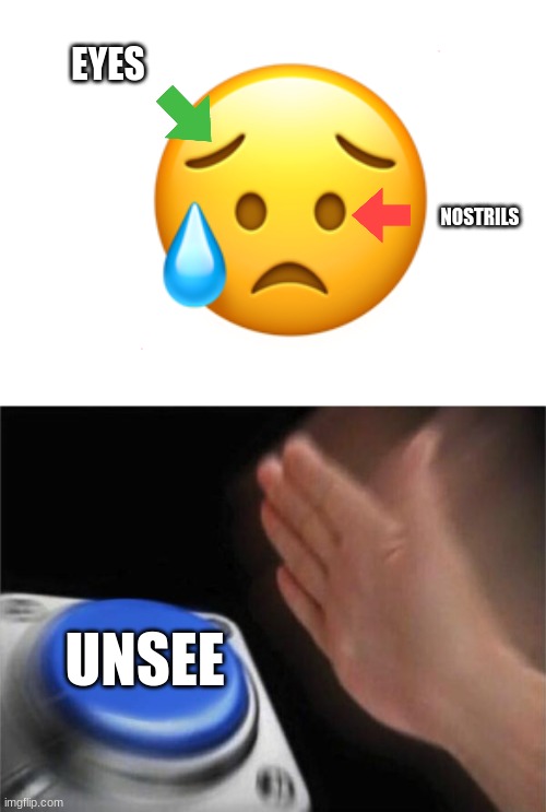 Blank Nut Button | EYES; NOSTRILS; UNSEE | image tagged in memes,blank nut button,emoji,emojis | made w/ Imgflip meme maker