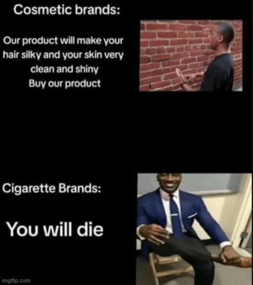 image tagged in cosmetic brands,cigarette brands | made w/ Imgflip meme maker