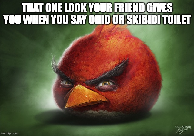i mean seriously tho | THAT ONE LOOK YOUR FRIEND GIVES YOU WHEN YOU SAY OHIO OR SKIBIDI TOILET | image tagged in angrybird2 | made w/ Imgflip meme maker
