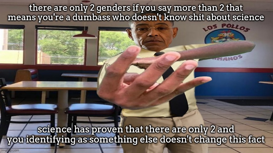 Gus Fring holding up 4 fingers | there are only 2 genders if you say more than 2 that means you're a dumbass who doesn't know shit about science; science has proven that there are only 2 and you identifying as something else doesn't change this fact | image tagged in gus fring holding up 4 fingers | made w/ Imgflip meme maker