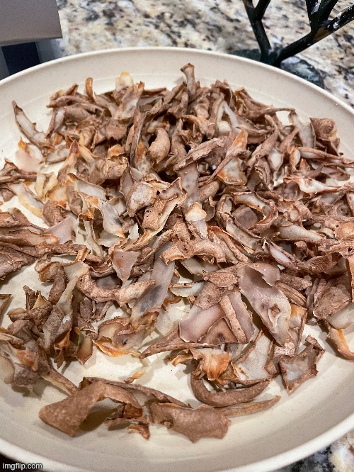 Made this with latke scraps. It sucks. | made w/ Imgflip meme maker