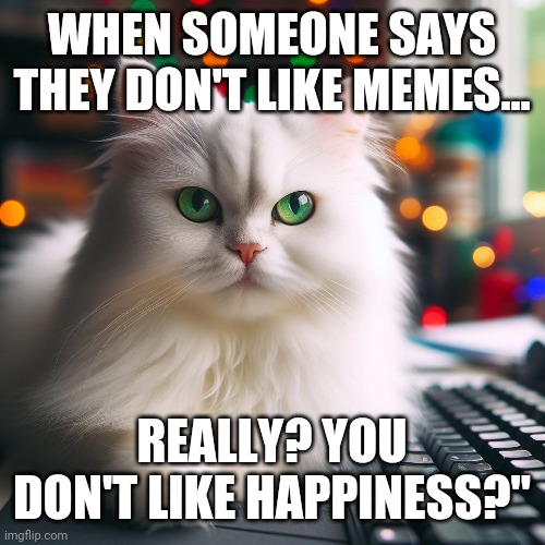 Meme | WHEN SOMEONE SAYS THEY DON'T LIKE MEMES... REALLY? YOU DON'T LIKE HAPPINESS?" | image tagged in memes | made w/ Imgflip meme maker