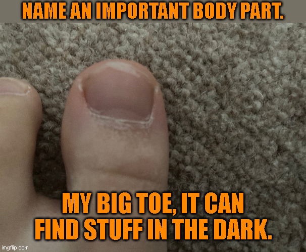 Body Parts | NAME AN IMPORTANT BODY PART. MY BIG TOE, IT CAN FIND STUFF IN THE DARK. | image tagged in toe | made w/ Imgflip meme maker